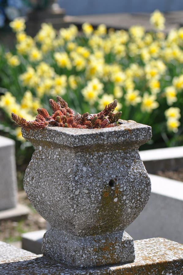 Flower pot from cemetery stock image. Image of flower 113830927
