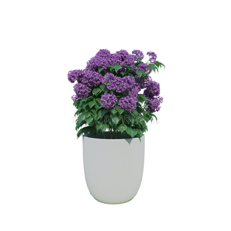 3d Landscaping Design Stock Illustrations 8,927 3d Landscaping Design