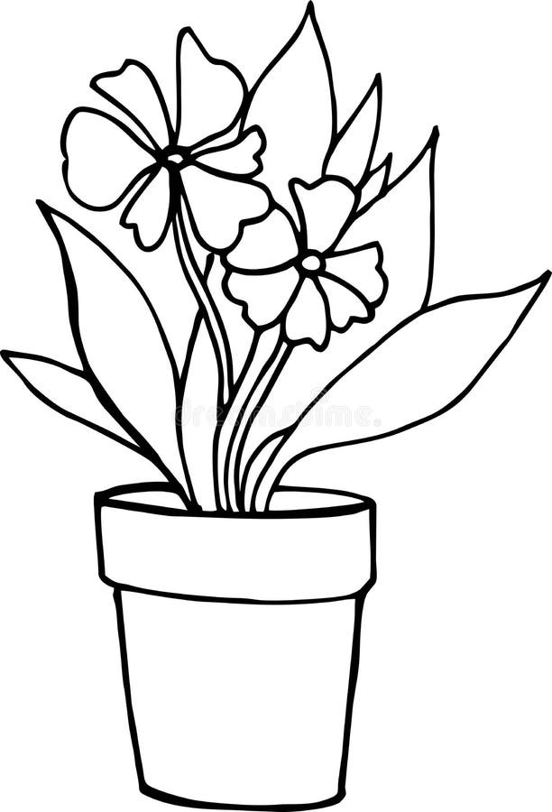 Flower in the Pot, House, Line Art, Black and White Sketch, Hand Draw ...