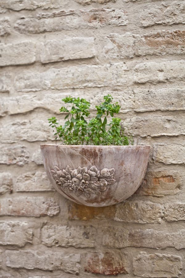 Flower pot with plant on antique brick wall