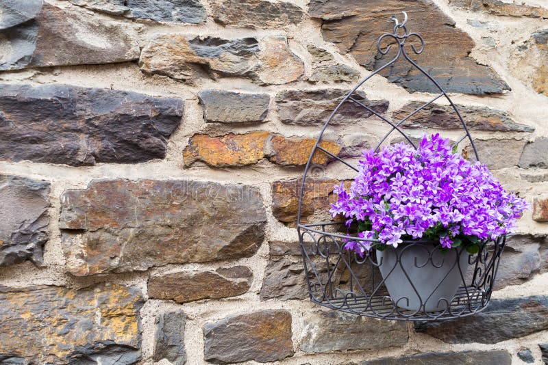 Flower Pot with Purple Plant on Antique Brick Wall Stock Photo - Image ...