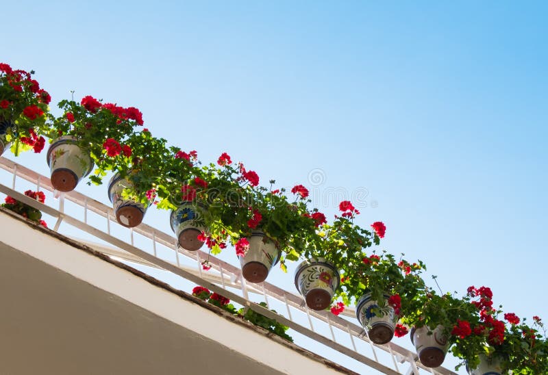 Flower pots on a balcony stock photo. Image of decoration 32422164
