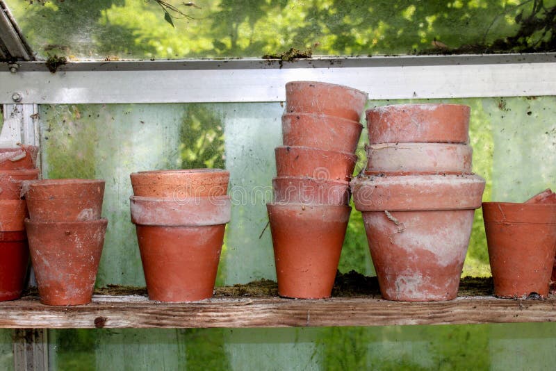 Flower pots stock image. Image of disused, flower, cobwebs - 55220831