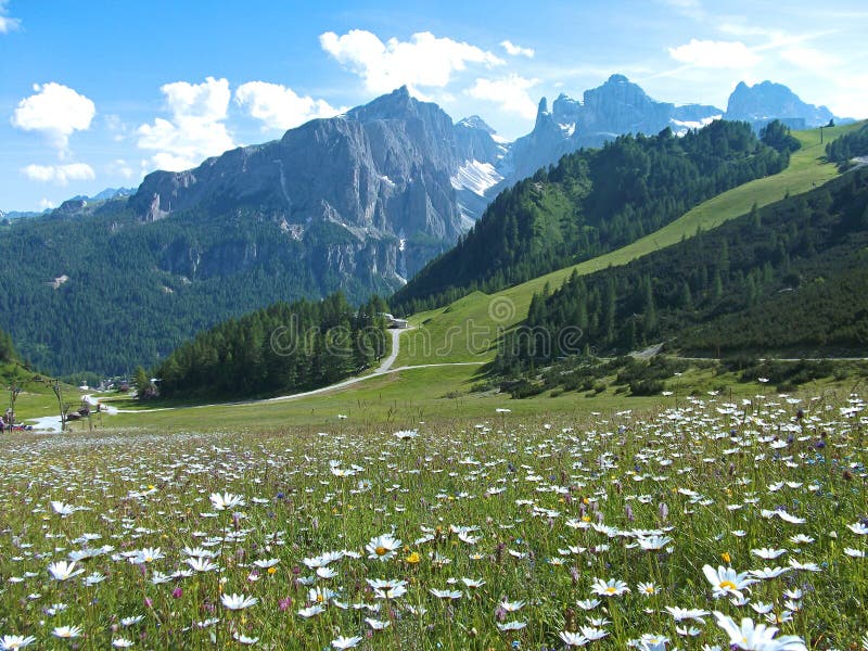 Flower road house mountain sky dolomites italy