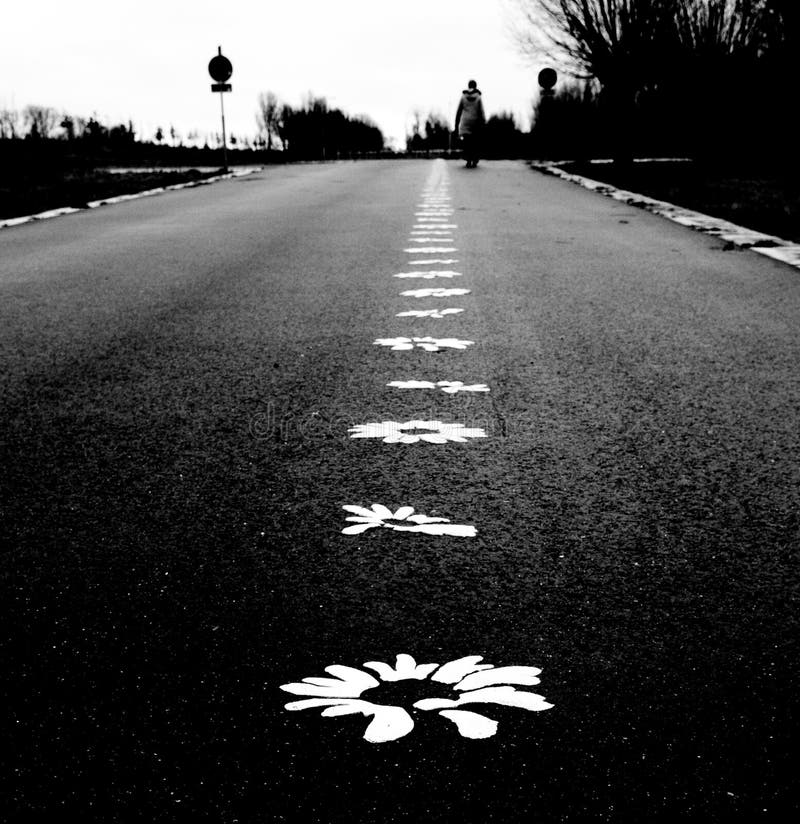 Flower road to happiness