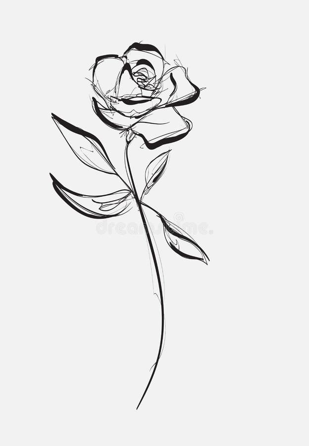 Rose Sketch Stock Photos and Images  123RF