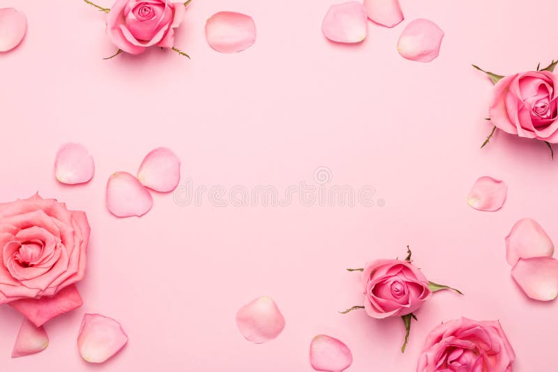 Với khung hình hoa hồng trên nền hồng nhạt, hình nền hoa đơn sắc này sẽ mang đến cho bạn một trải nghiệm tuyệt vời. Sự tương phản giữa hình ảnh hoa và nền hồng nhạt sẽ khiến cho hình nền của bạn trở nên độc đáo và ấn tượng hơn bao giờ hết.