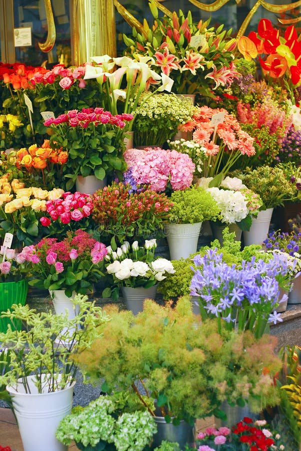 Flower market stock photo. Image of flower, sell, display 12052332