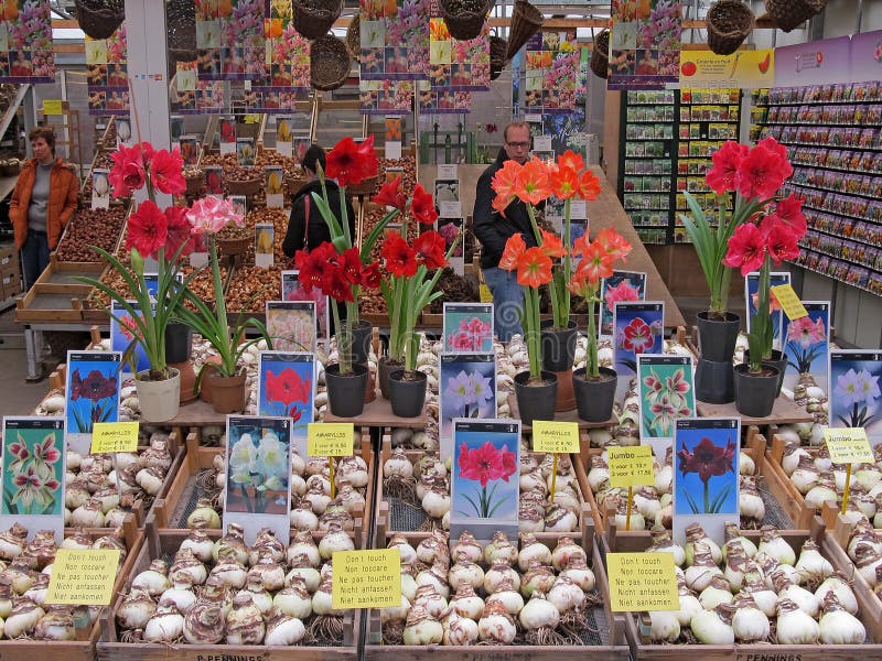 Flower Shop in Amsterdam 1014 Editorial Photography Image of flower