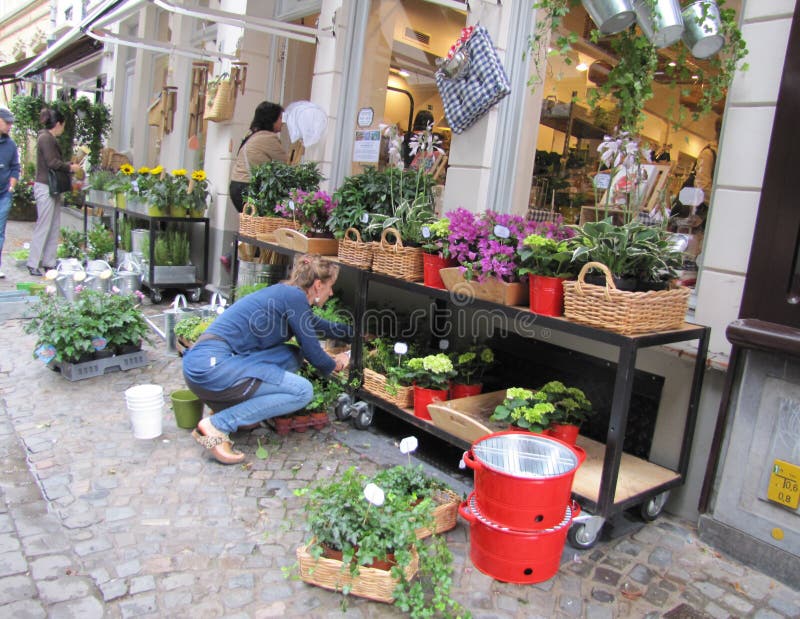 Flower shop in Bruges editorial stock image. Image of flowers 21120784