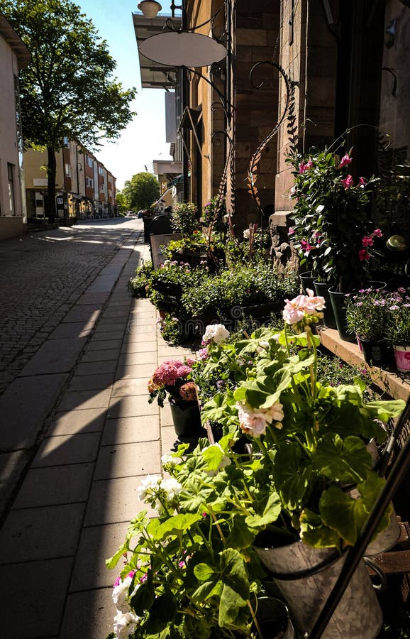 A Flower Shop on a City Street Stock Photo Image of area
