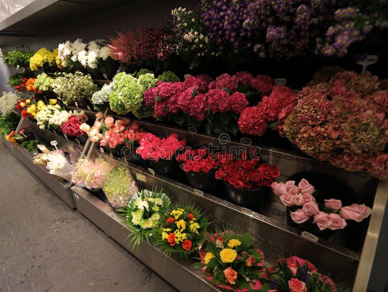 Flower shop stock image. Image of shop, markets, variety 46824777