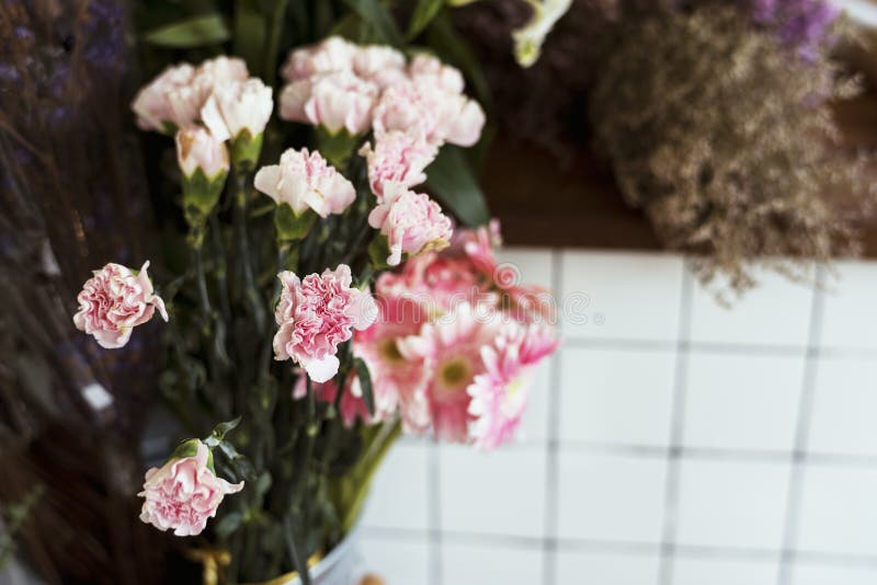Flower Shop Retail Blooming Plant Store Stock Photo Image of florist