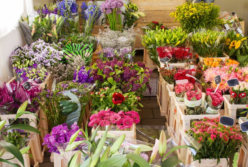 A Flower Shop, Seen in Amsterdam, Netherlands Stock Photo - Image of ...