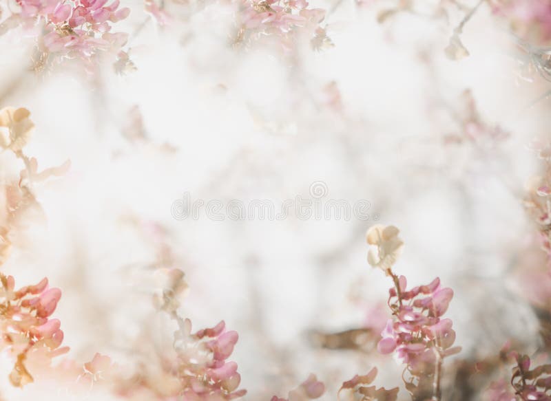 Flower Soft Background in Pastel Tone for Valentine or Wedding ...