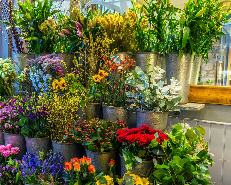 Flower Stand Bath, England Stock Photo Image of purple, flowers