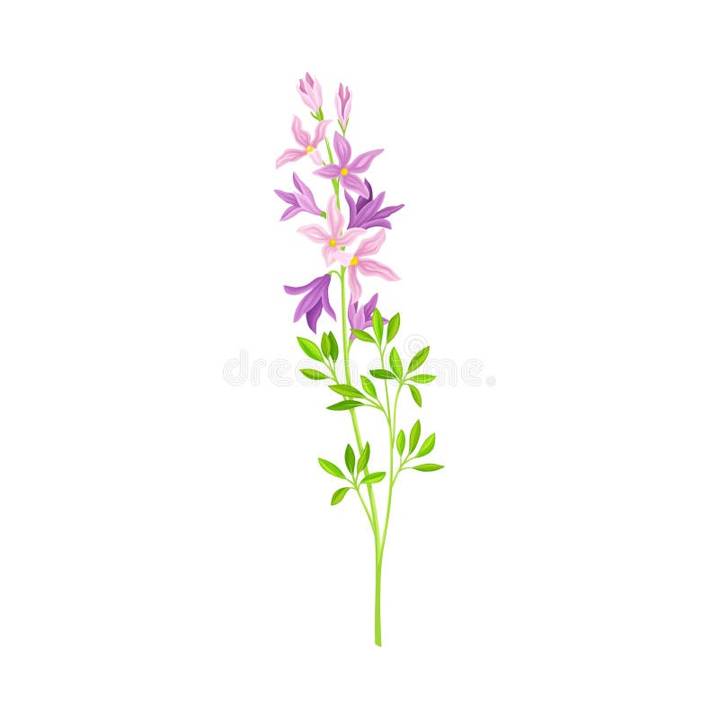 Blossom Violet Flower Stock Illustrations – 31,717 Blossom Violet ...