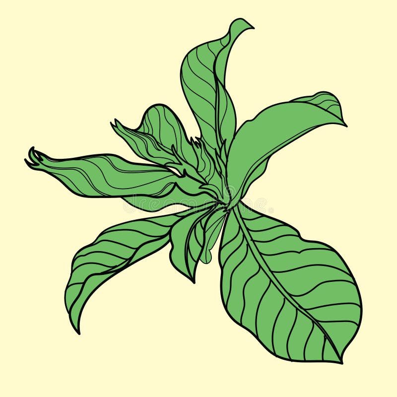 Flower stock illustration