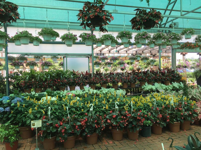 Flower Store on the Roadside Stock Image Image of store, bunch 35652763