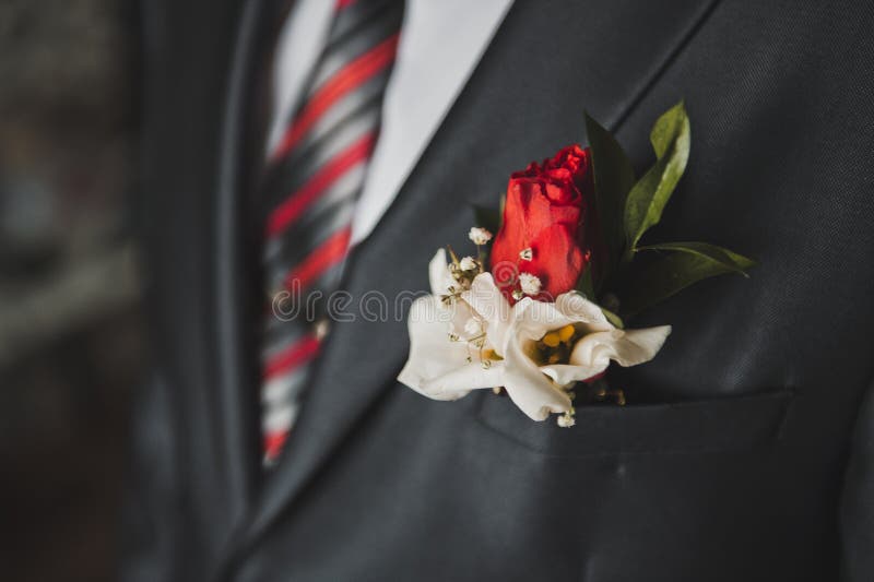 Flower in a Suit Pocket 2482. Stock Photo Image of carnation, person