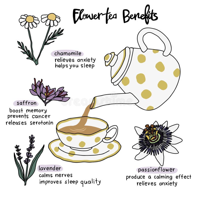 Passionflower Tea Stock Illustrations 117 Passionflower Tea Stock