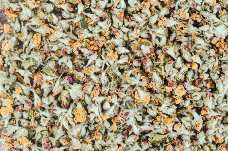 Flower Tea. Dried of Apple Blossom Textured Stock Photo Image of petal, fruit 244973858