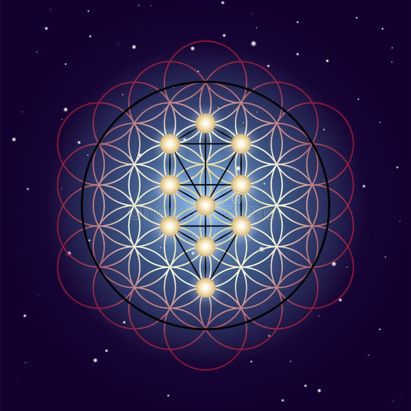 Flower and Tree of Life, sacred geometry on starry sky background