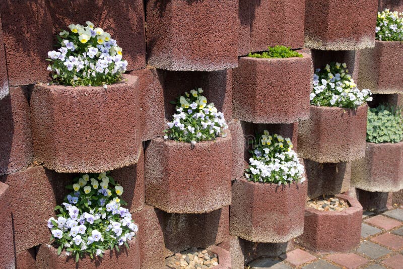 Flower tubs in the sun stock image. Image of golden, tubs 28258533