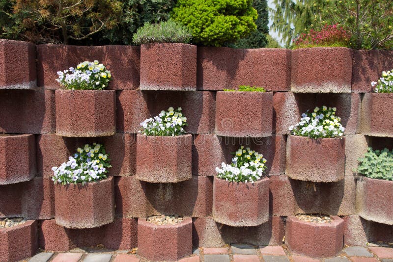 Flower tubs in the sun stock image. Image of golden, tubs 28258533