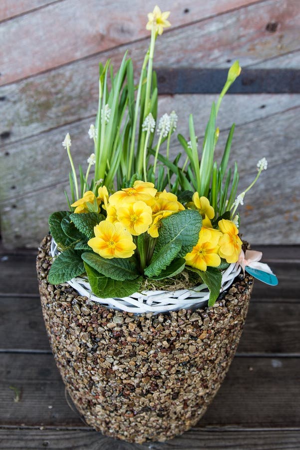 Flower Vase Made of Pebbles Stock Image Image of container, interior