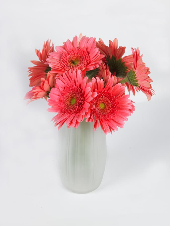 flower vase with pink daisy flowers