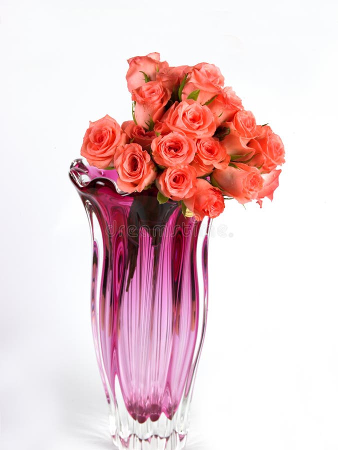 A Flower Vase with Pink Daisy Flowers Stock Image Image of natural