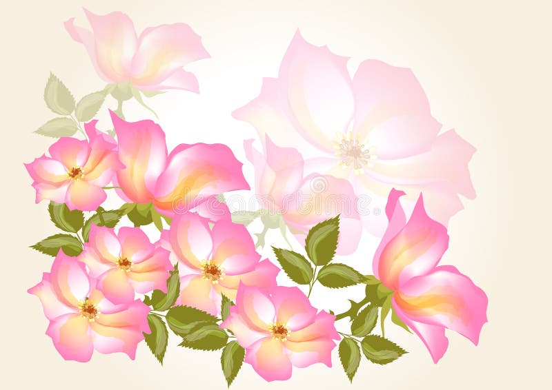 Flower vector background with wild rose