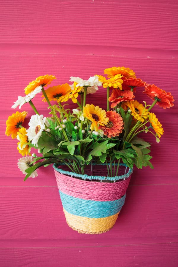 Flower on the wall stock photo. Image of destination 75125666