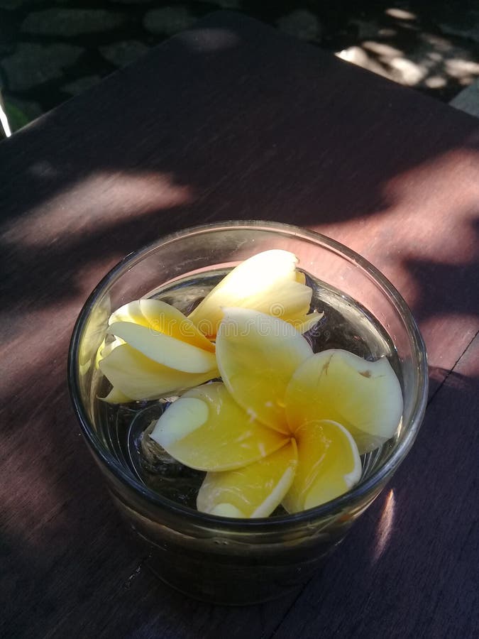 Flower in Water on the Glass & X28;2& X29; Stock Photo Image of drink