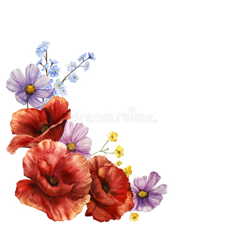 Flower Watercolor Illustration Botanical Illustration Isolated, Bouquet ...