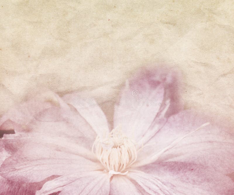 Flower Wedding Retro Background stock photography