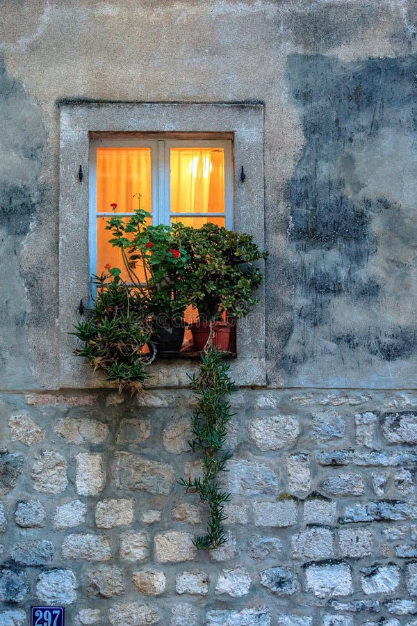 Flower on the window stock photo. Image of flowers, green 88497768