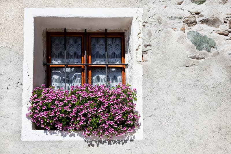 Flower Window Box stock photo. Image of horizontal, exterior 10734768