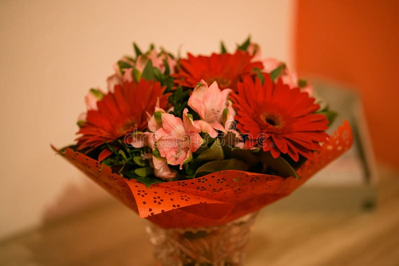 Flower for women`s day stock photo. Image of flowers 213105282