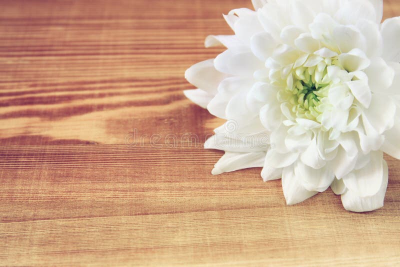 Flower on the wooden table . vintage filtered image