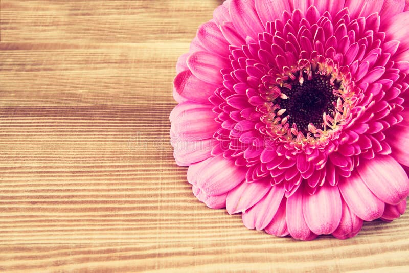 Flower on the wooden table . vintage filtered image