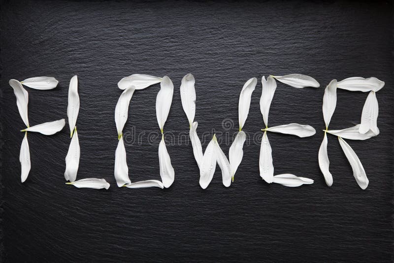 Flower Word Created from Flower Stock Photo Image of artificial