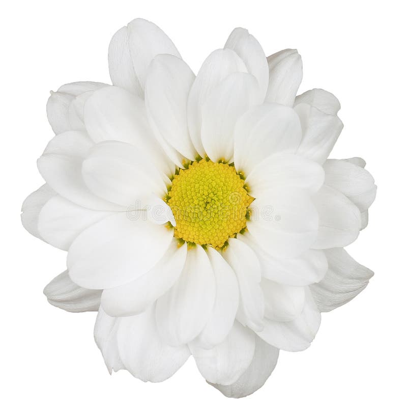 My Image 14
