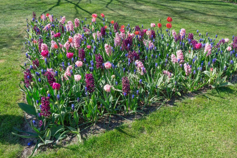 Flowerbed Multicolored in Garden Landscape. Different Flowers in the ...