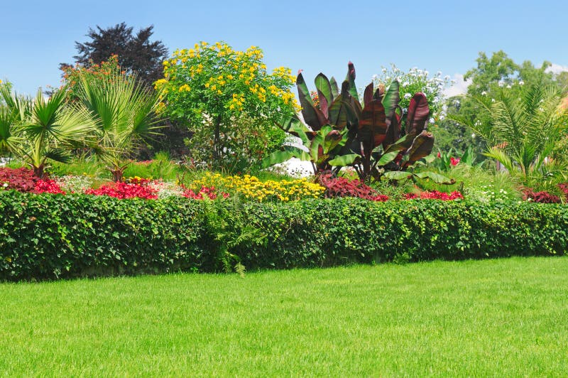 Residential Flower Garden stock photo. Image of colours - 5331536