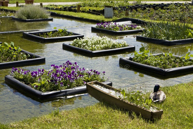Flowerbeds on water stock photo. Image of garden, gardening 17195442