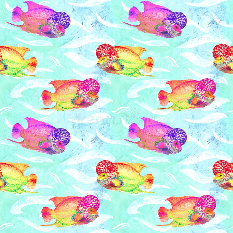 Flowerhorn cichlid vist Elvis-spanning, hand geschilderde waterverfillustratie, naadloos patroon op turkooise oceaanoppervlakte vector illustratie Flowerhorn cichlid vist Elvis-spanning, hand geschilderde waterverfillustratie, naadloos patroon op turkooise oceaanoppervlakte vector illustratie