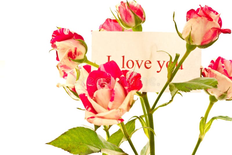 Roses with i love you card stock image. Image of floral - 7781389