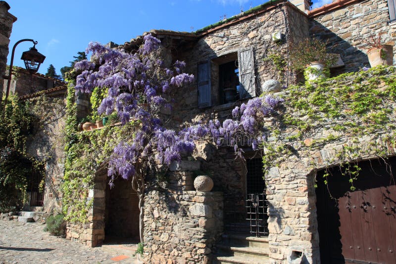 Flowering house in french village of Castelnou in Pyrenees